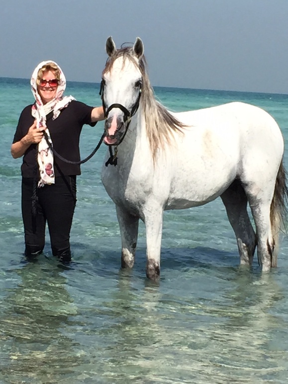 White horse in water.jpg